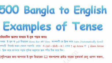 Photo of tense er 500 examples bangla to english  with answers pdf