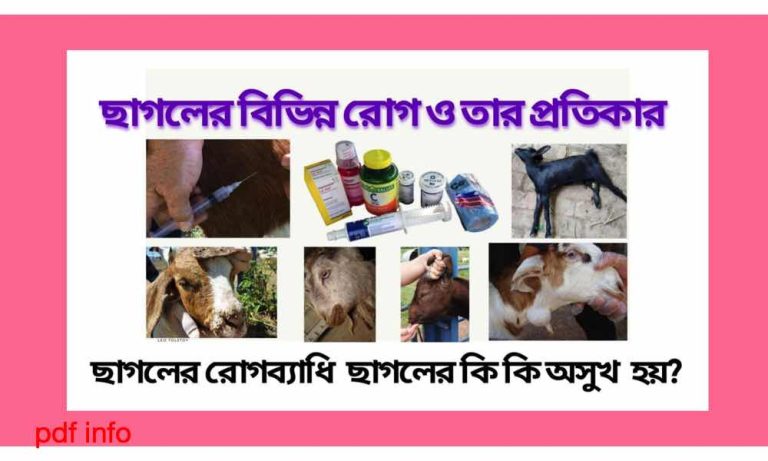 book ছাগলের রোগ ও চিকিৎসা Pdf Download