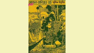 Photo of সোজন বাদিয়ার ঘাট pdf Download(কাব্যগ্রন্থ-কবিতা) | sujon badiyar ghat book pdf