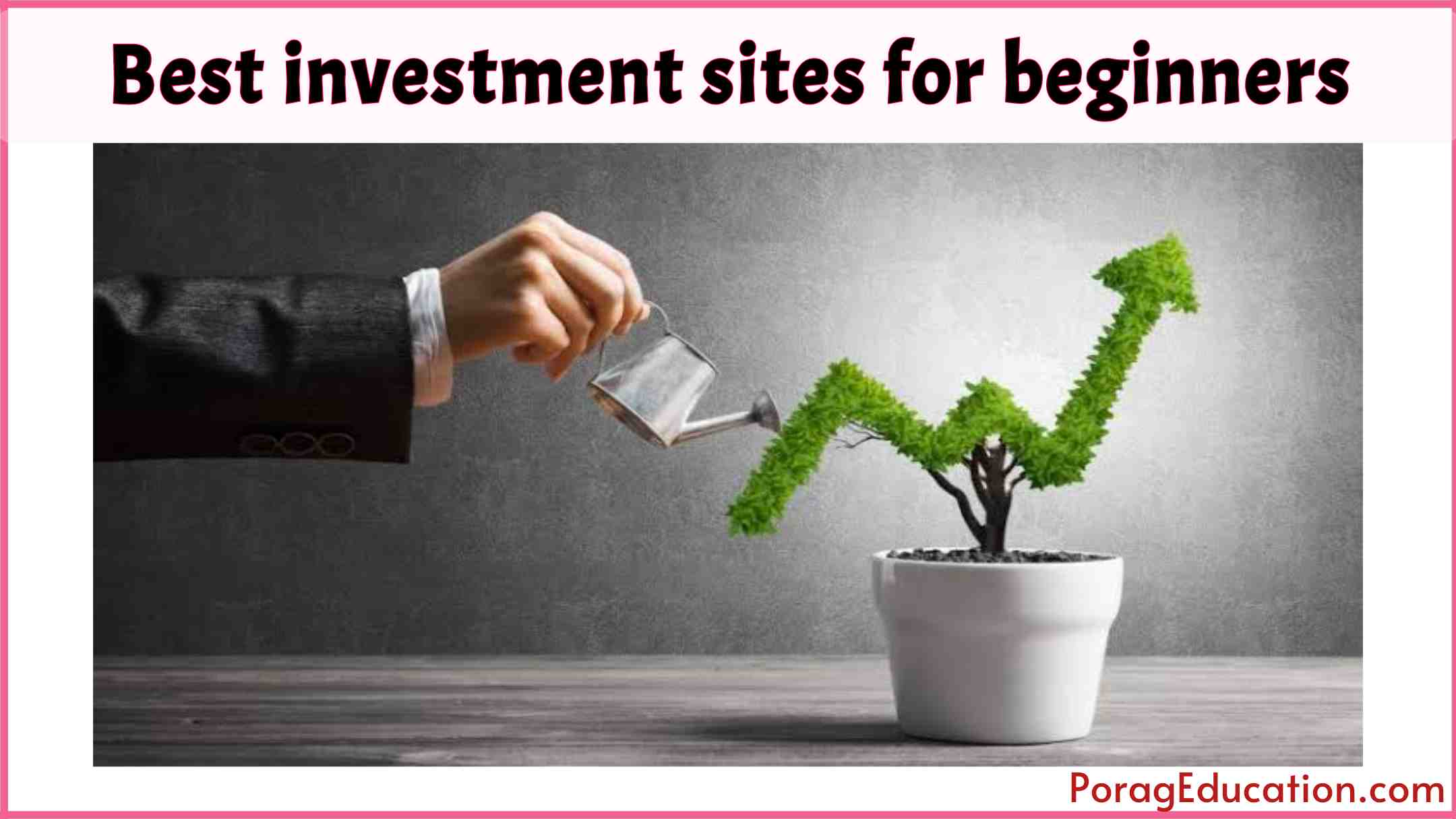 Best investment sites for beginners All Time