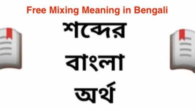 Photo of Free Mixing Meaning in Bengali